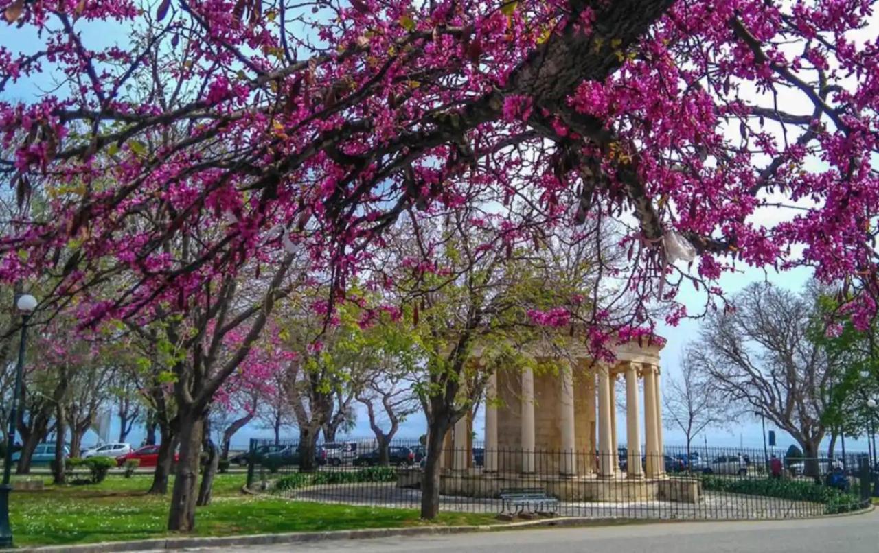 Corfu Studio In Historic Unesco City Centre Екстер'єр фото